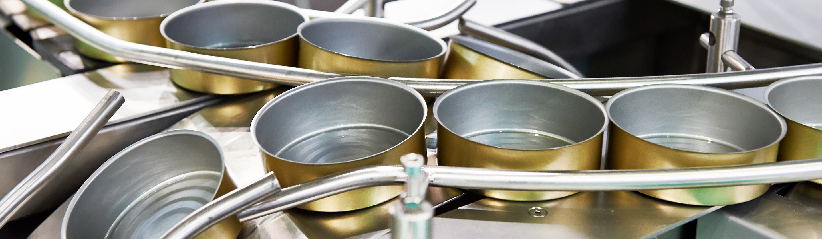 Metals & Alloys in Food Contact Applications